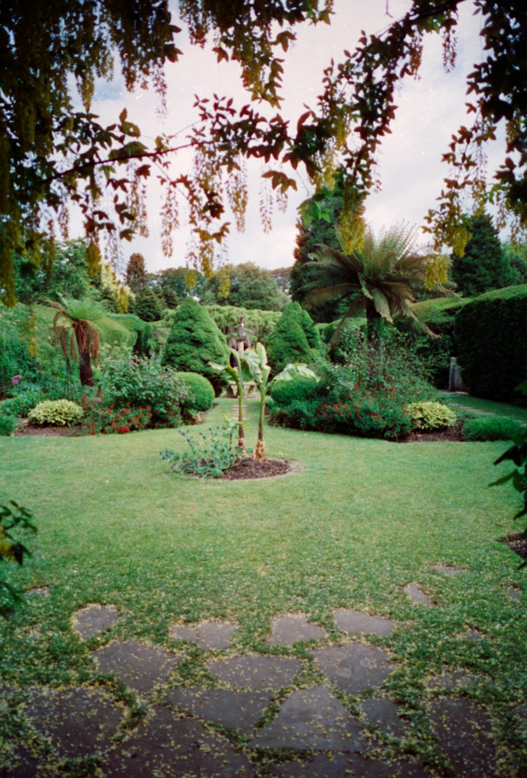 photo-1720084562443-cdc761d5fac6