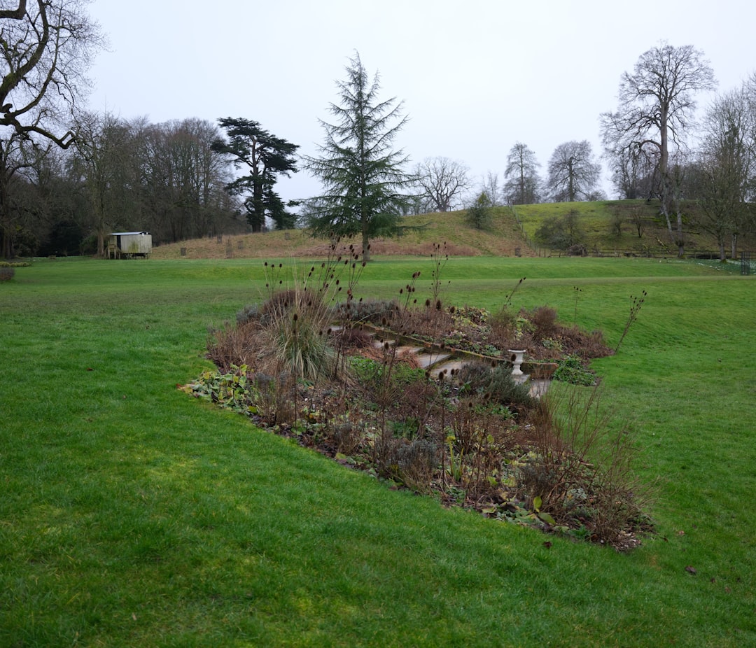 photo-1771011891341-6b2991a96d6f